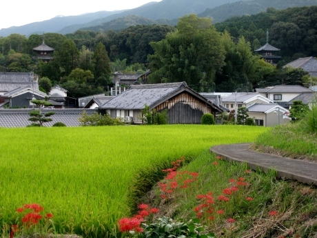 塔のある風景―西洋にて（Landscape with Bell tower in the West）_a0332314_16140414.jpg