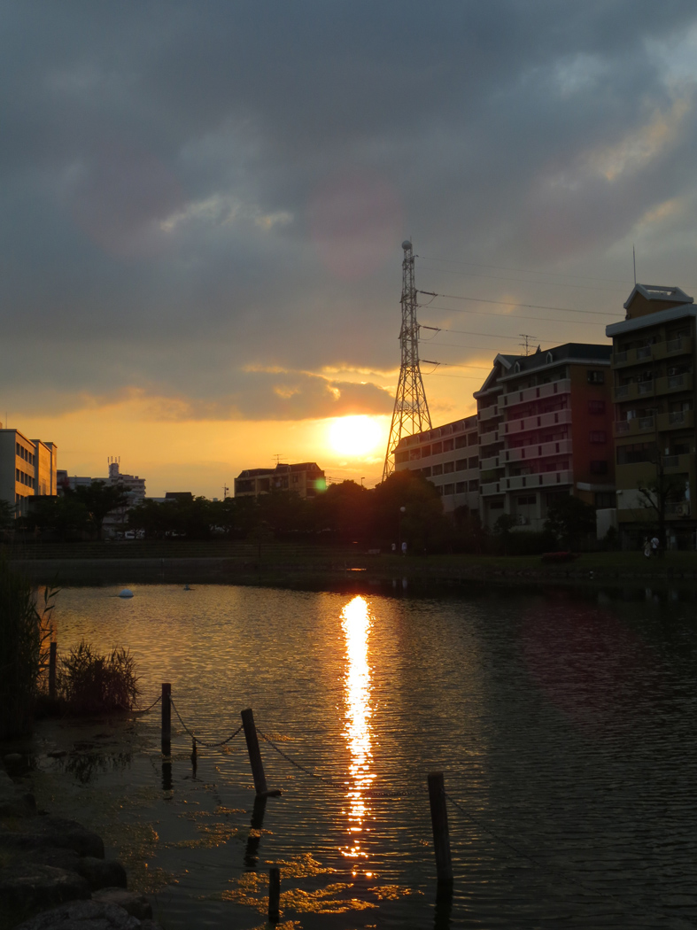 ■「もう少し あと少し…」、そして週替わりの夕暮れ［6/14］_d0190217_115846.jpg