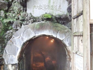 ジャカランダ in 熱海_e0208519_10554253.jpg