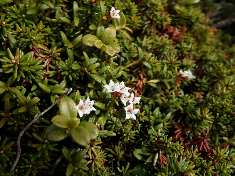 f0330321_22361536.jpg