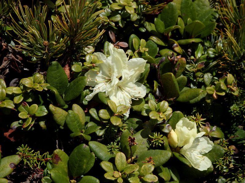 f0330321_2236819.jpg