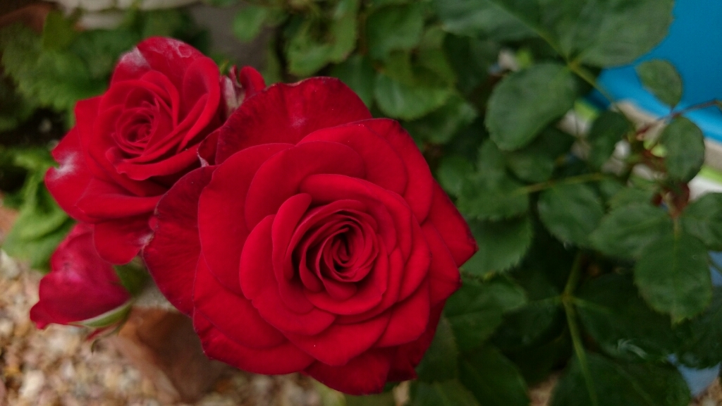e0263224_00522269.jpg