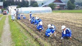 今年も小学校の大豆栽培が始まりました。_e0061225_1835512.jpg