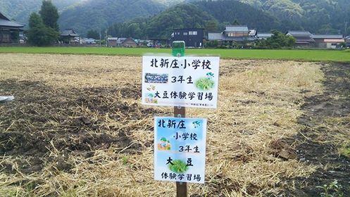 今年も小学校の大豆栽培が始まりました。_e0061225_1835865.jpg