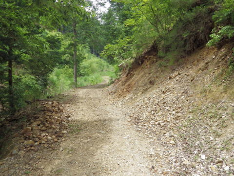 d0045626_00133751.jpg