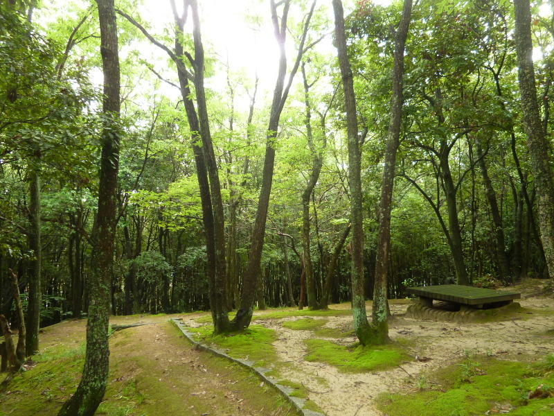 c0326333_06472900.jpg