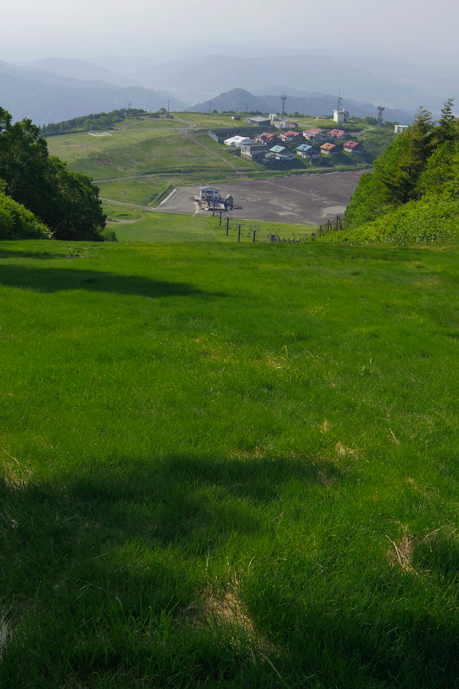 d0237340_11390404.gif