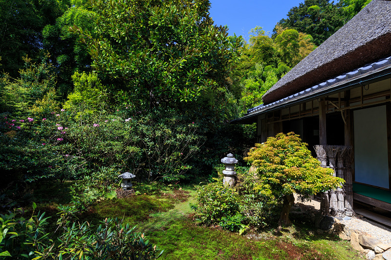 新緑と春の花（直指庵）_f0155048_232034100.jpg