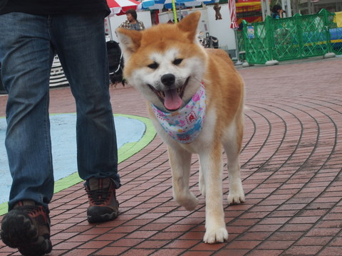 b0268454_2119574.jpg