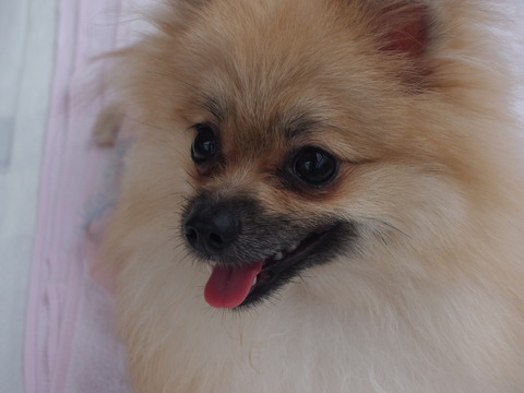 b0268454_21332214.jpg