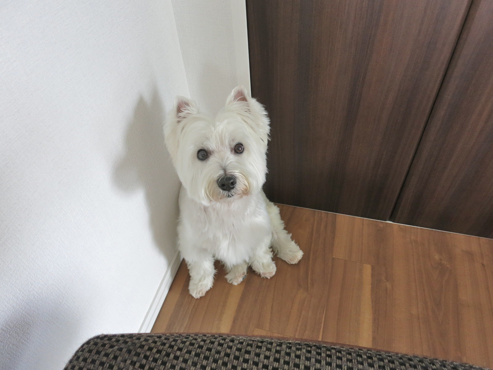 温泉みやげは「ふたご」です_c0260460_14595120.jpg