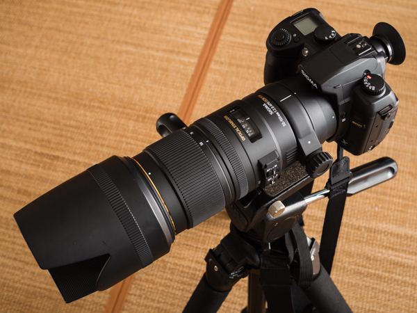 SIGMA SD1 Merrill 17-50mm 50-150mmレンズつき ☆良品☆シグマ SIGMA SD1 Merrill 17-50mm 50-150mm レンズつき