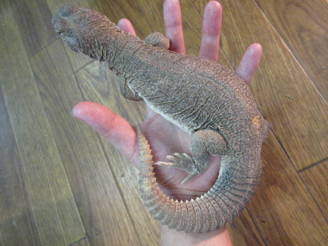 e0211781_20121786.jpg