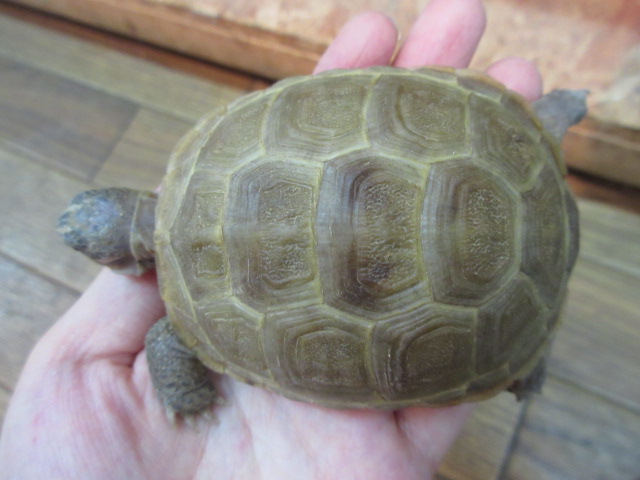 e0211781_2044310.jpg