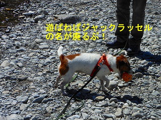 e0121589_20281036.jpg