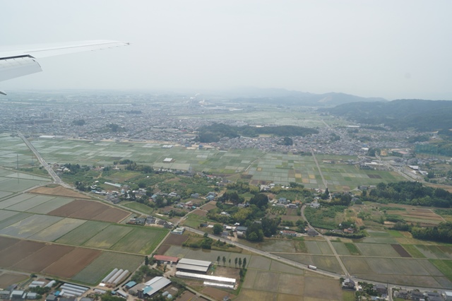 d0181492_2021360.jpg