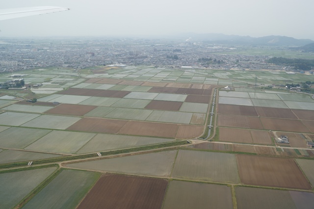 d0181492_2025083.jpg
