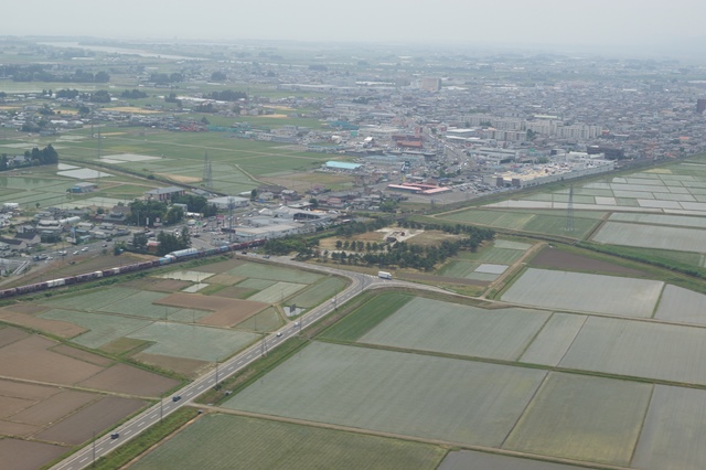 d0181492_2032522.jpg