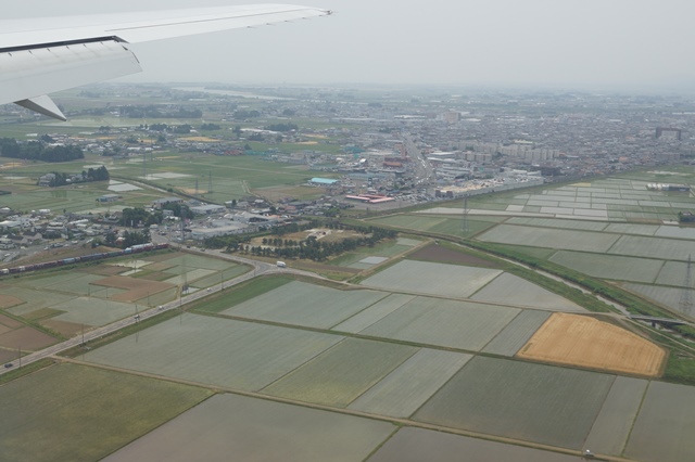 d0181492_203957.jpg