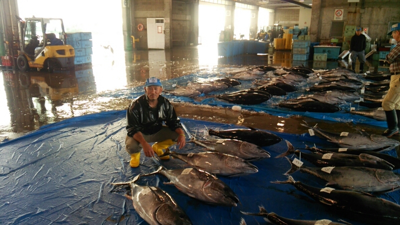 マグロ群~_d0183392_6174638.jpg