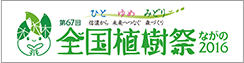 b0177596_8163913.png