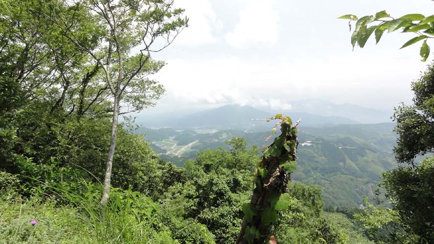 2015.6.15  四国遍路  夫婦二人旅  33日目  41番札所 龍光寺から43番札所 明石寺_c0237096_23174116.jpg