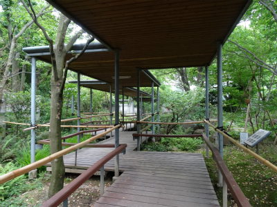 c0125501_024493.jpg