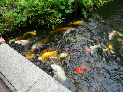 c0125501_0273880.jpg