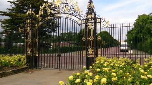 ロンドン薔薇便り～香り溢れるクイーン・メアリーズ・ローズ・ガーデンQueen Mary\'s Rose Garden in Regents Park, London_e0346002_05270278.jpg