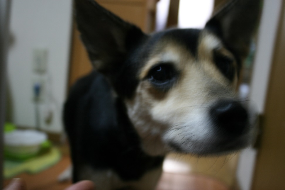 ここす&明 新生活スタート!_f0242002_16255617.jpg