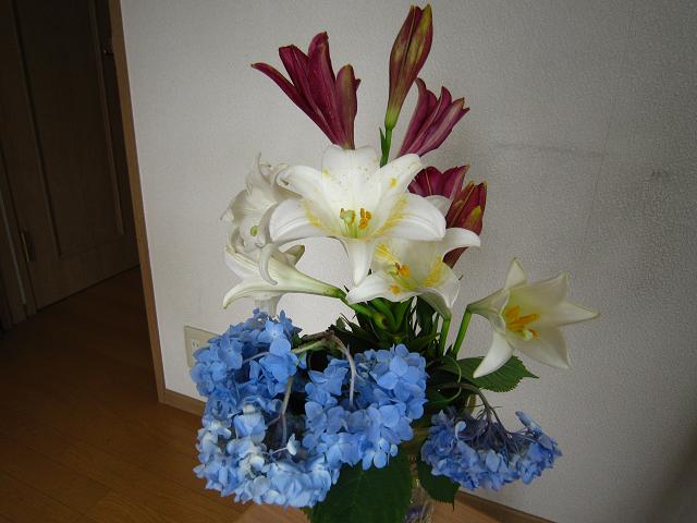 a0141408_1947649.jpg