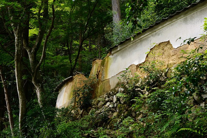f0032011_19521077.jpg