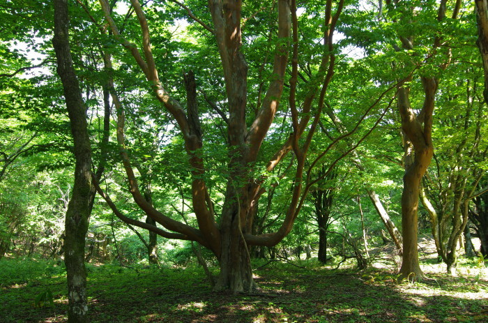 f0195813_01241392.jpg