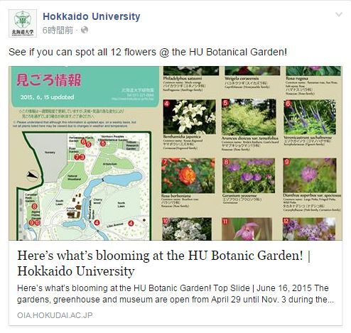 Facebookから北大植物園へ_c0025115_20075936.jpg