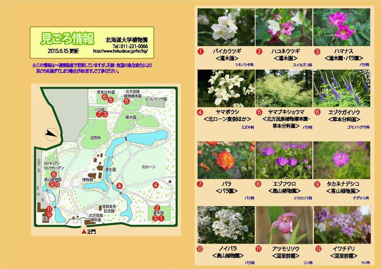 Facebookから北大植物園へ_c0025115_20155264.jpg