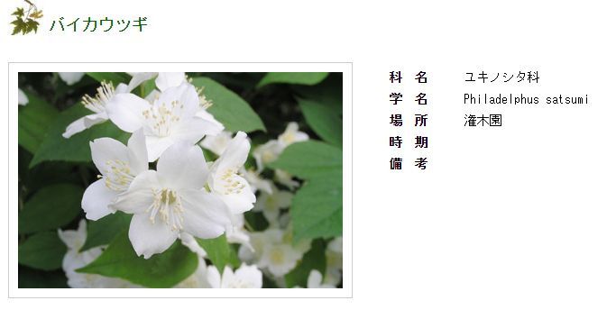 Facebookから北大植物園へ_c0025115_20222760.jpg