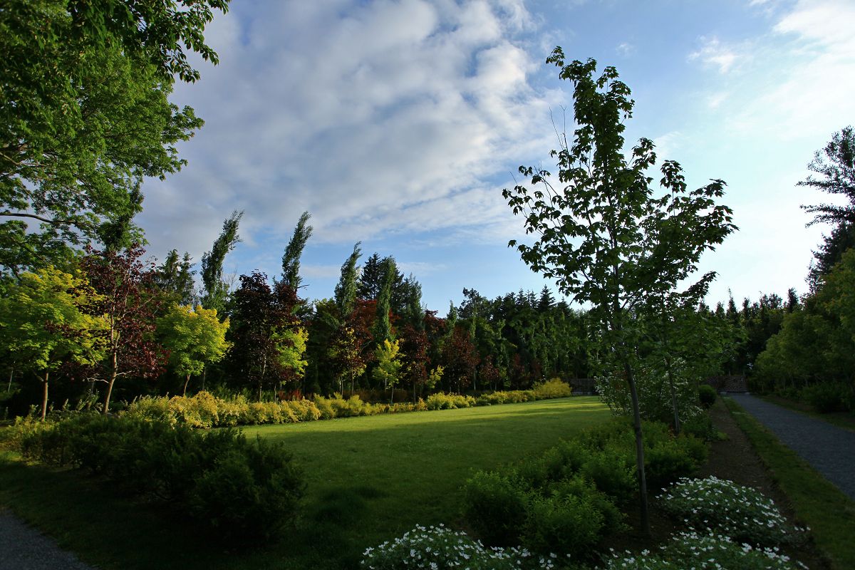 c0367515_1038444.jpg