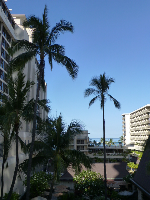 Hawaii 旅行記 ホテル編_e0237625_15463780.jpg