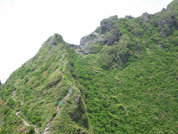 e0164643_16201951.jpg