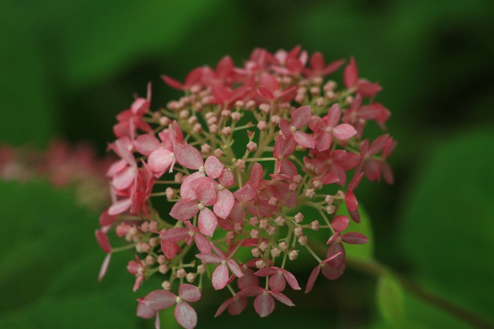 c0155950_2240147.jpg