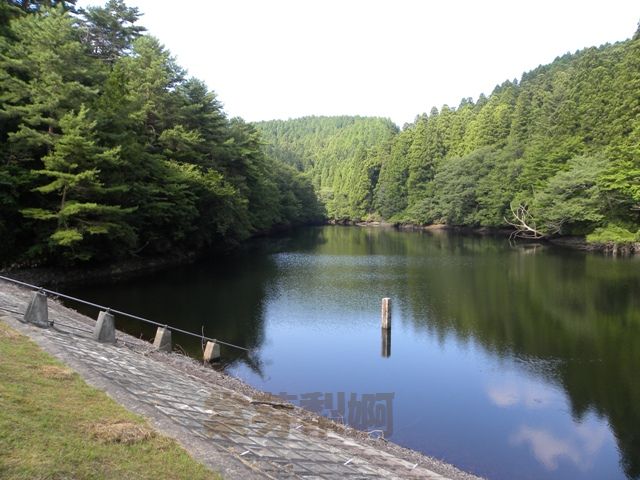 鶴ヶ池(再)(奈良県宇陀市室生)　2010年8月_e0178757_2128940.jpg