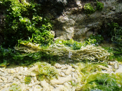c0180460_0284389.jpg
