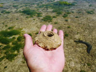 c0180460_11522395.jpg