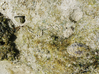 c0180460_11535169.jpg