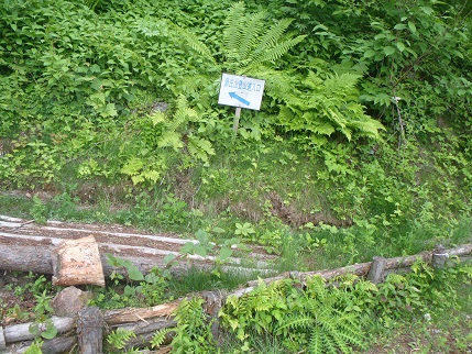 d0032262_10304162.jpg
