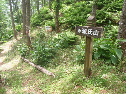 d0032262_1037599.jpg