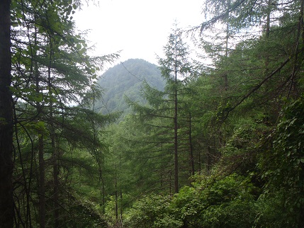 d0032262_10384351.jpg