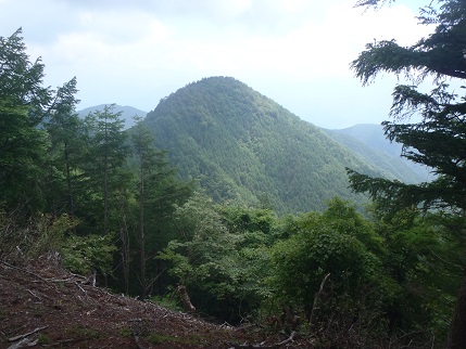 d0032262_10501451.jpg
