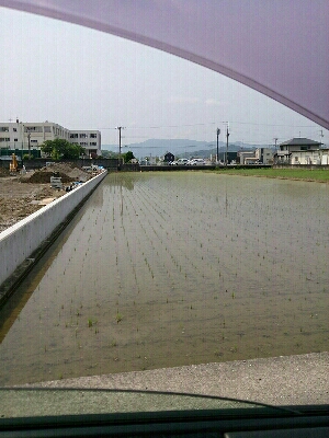 本日は新月です!_f0152875_843824.jpg