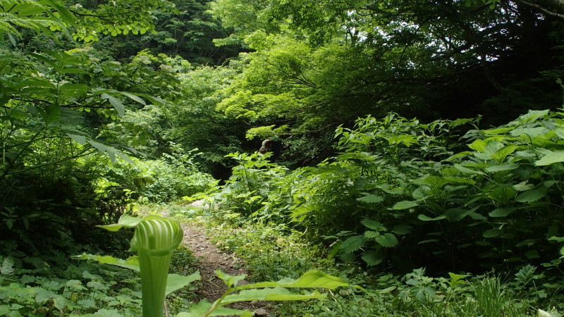 T姉さまと夜叉ケ池へ_e0024081_09181151.jpg